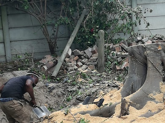 stump removal Everton